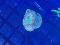 IMG_5318.jpeg