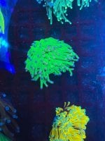 IMG_5626.jpeg