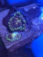 IMG_4999.jpeg