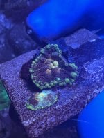 IMG_4998.jpeg
