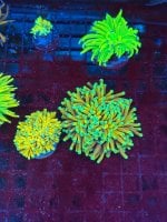 IMG_5798.jpeg