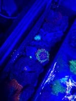 IMG_5793.jpeg