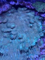 IMG_0671.jpeg