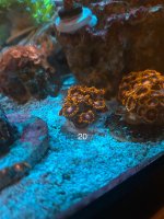 IMG_1264.jpeg