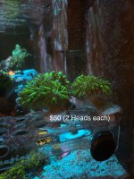 IMG_1265.jpeg