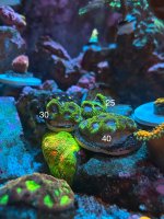 IMG_1268.jpeg
