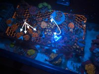 IMG_1272.jpeg