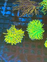 IMG_5850.jpeg