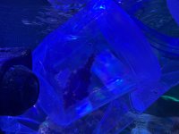 IMG_3357.jpeg