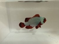 IMG_5906.jpeg