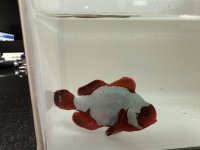 IMG_5903.jpeg