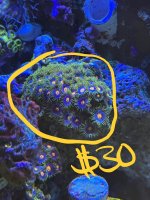IMG_9406.jpeg
