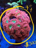 IMG_9412.jpeg