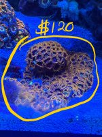 IMG_9413.jpeg
