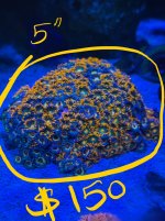 IMG_9415.jpeg