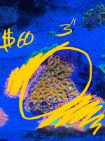 IMG_9417.jpeg