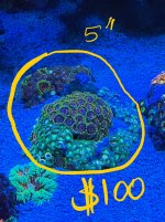 IMG_9416.jpeg