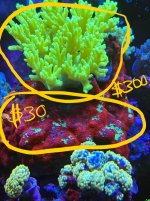 IMG_9421.jpeg