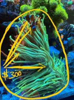 IMG_9435.jpeg