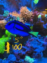 IMG_9436.jpeg