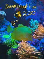 IMG_9443.jpeg
