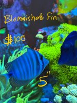 IMG_9444.jpeg
