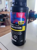 IMG_2033.jpeg