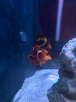 IMG_1096.jpeg