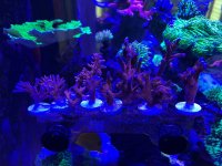 IMG_5177.jpeg