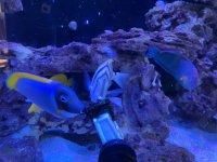 IMG_2145.jpeg
