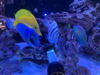 IMG_2146.jpeg