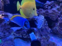 IMG_2147.jpeg