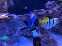 IMG_2148.jpeg