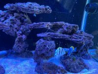 IMG_2140.jpeg