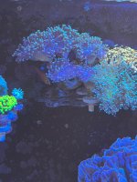 IMG_2457.jpeg