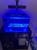 IMG_9274.jpeg