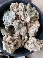 IMG_2177.jpeg