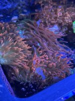 IMG_0711.jpeg