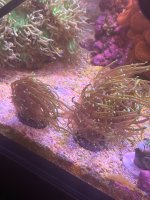 IMG_0546.jpeg