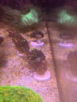 IMG_0543.jpeg