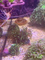 IMG_0548.jpeg