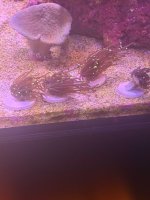 IMG_0545.jpeg