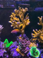 IMG_5196.jpeg