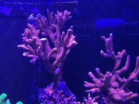 IMG_5187.jpeg