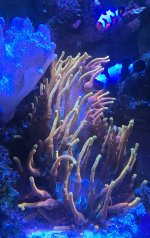 20260319_175745.jpg