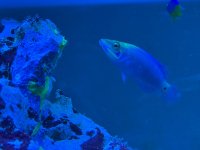 IMG_9725.jpeg