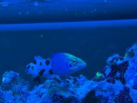 IMG_9726.jpeg