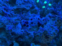 IMG_9703.jpeg