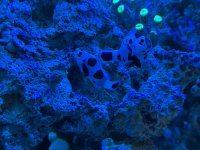 IMG_9706.jpeg