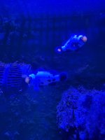 IMG_9744.jpeg